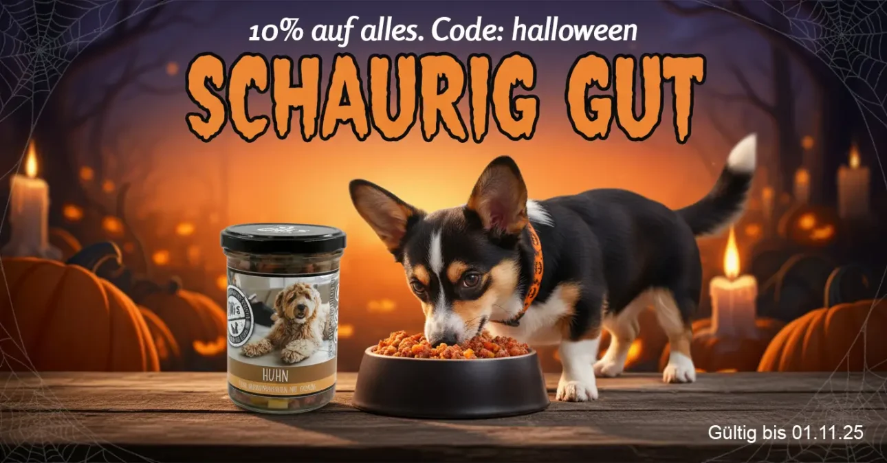Schaurig gut Aktion Schaurig gut Aktion